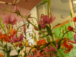 Foto: Dr. Peter Müller